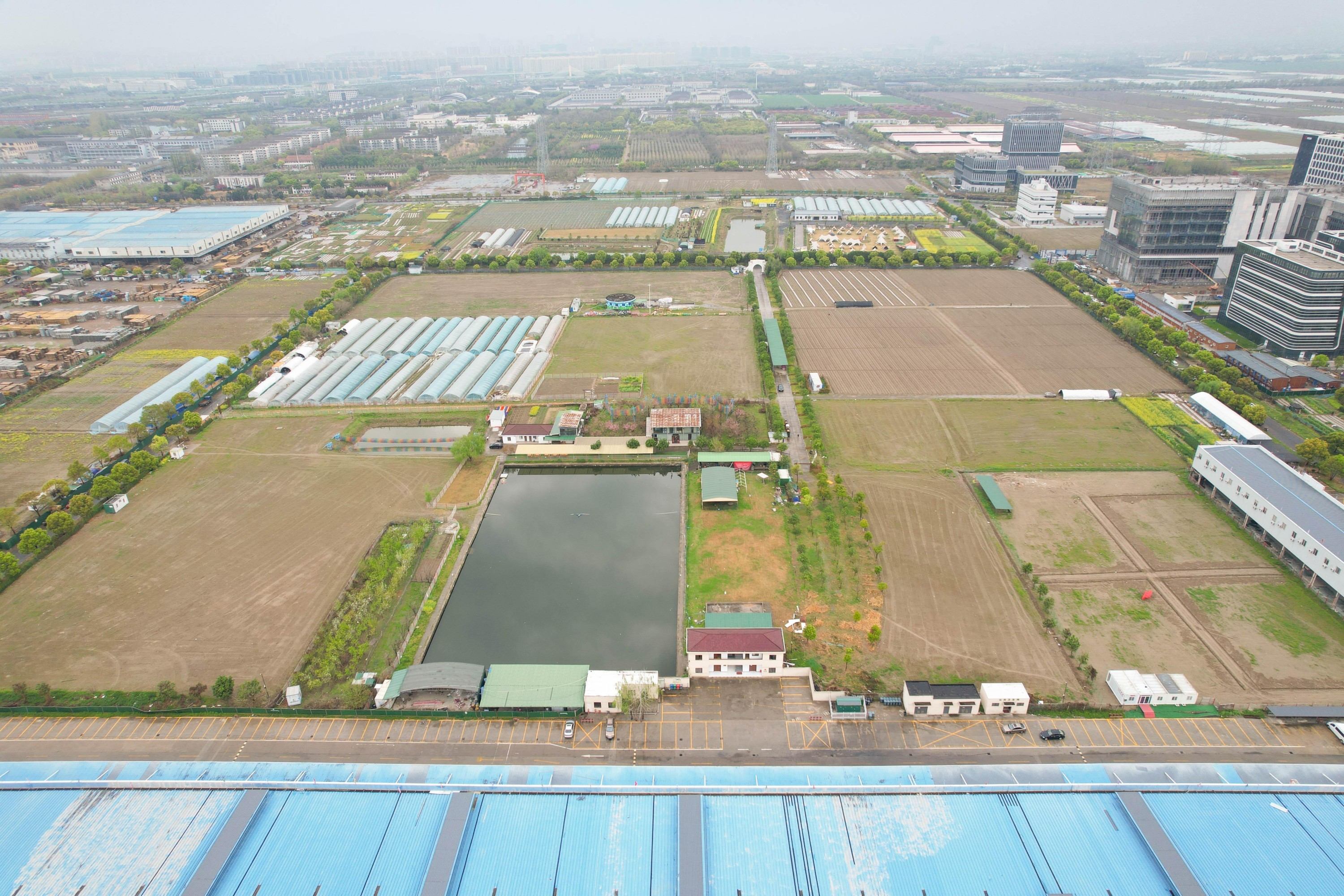 下沙片区守护生态安全,督促企业复绿复植 韩柯摄.jpg